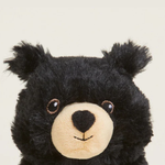 Jr Warmies Black Bear