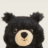 Jr Warmies Black Bear