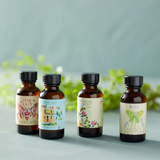 Daydream Simple Syrups | Set of 4